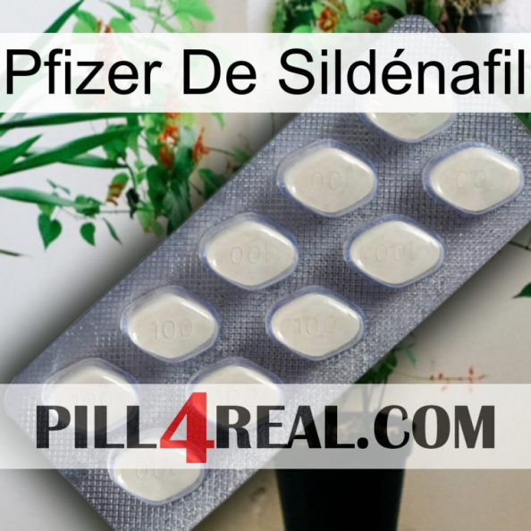 Pfizer De Sildénafil 08